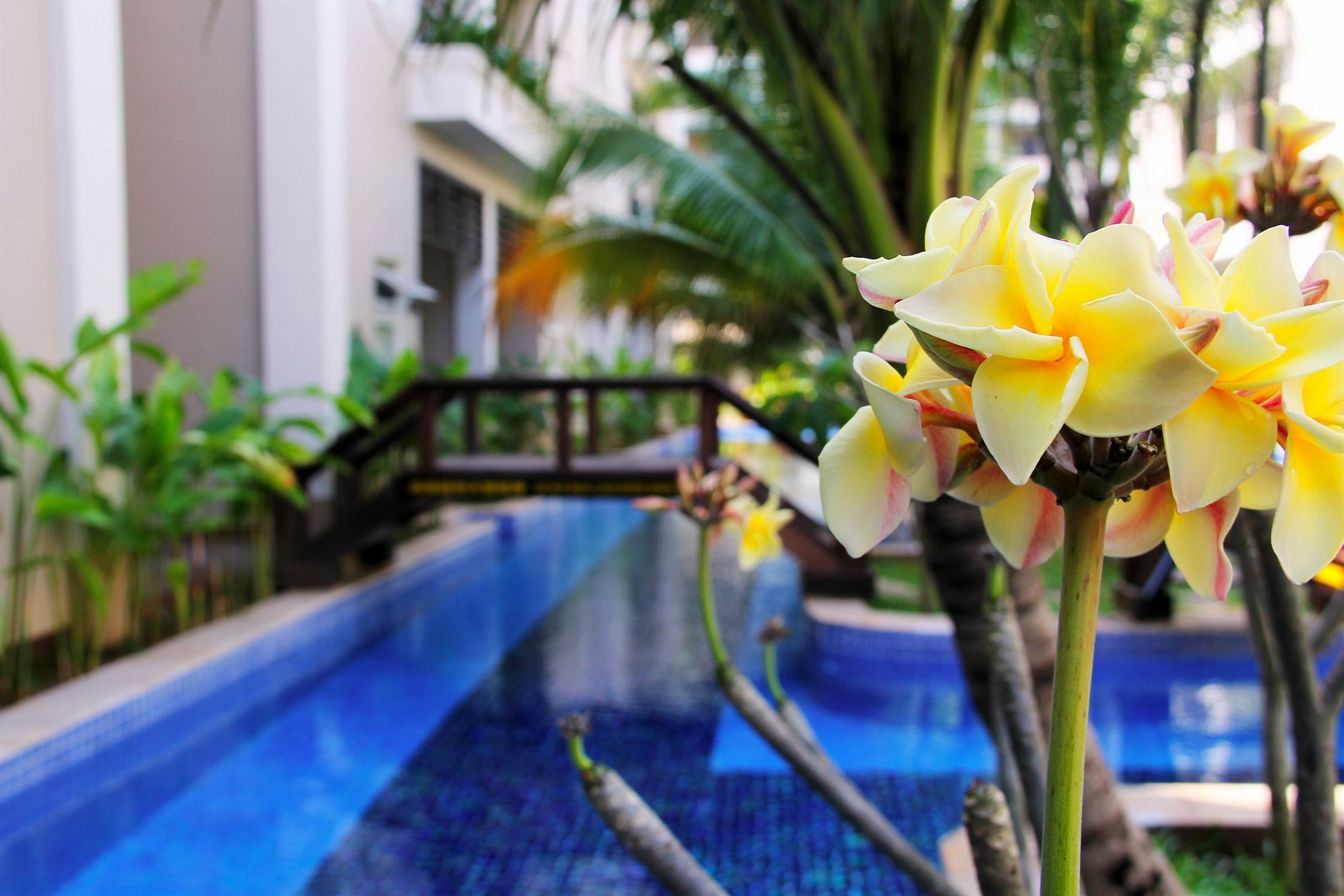 Bali Hotel Пномпень Экстерьер фото